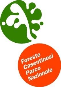 Foreste casentinesi